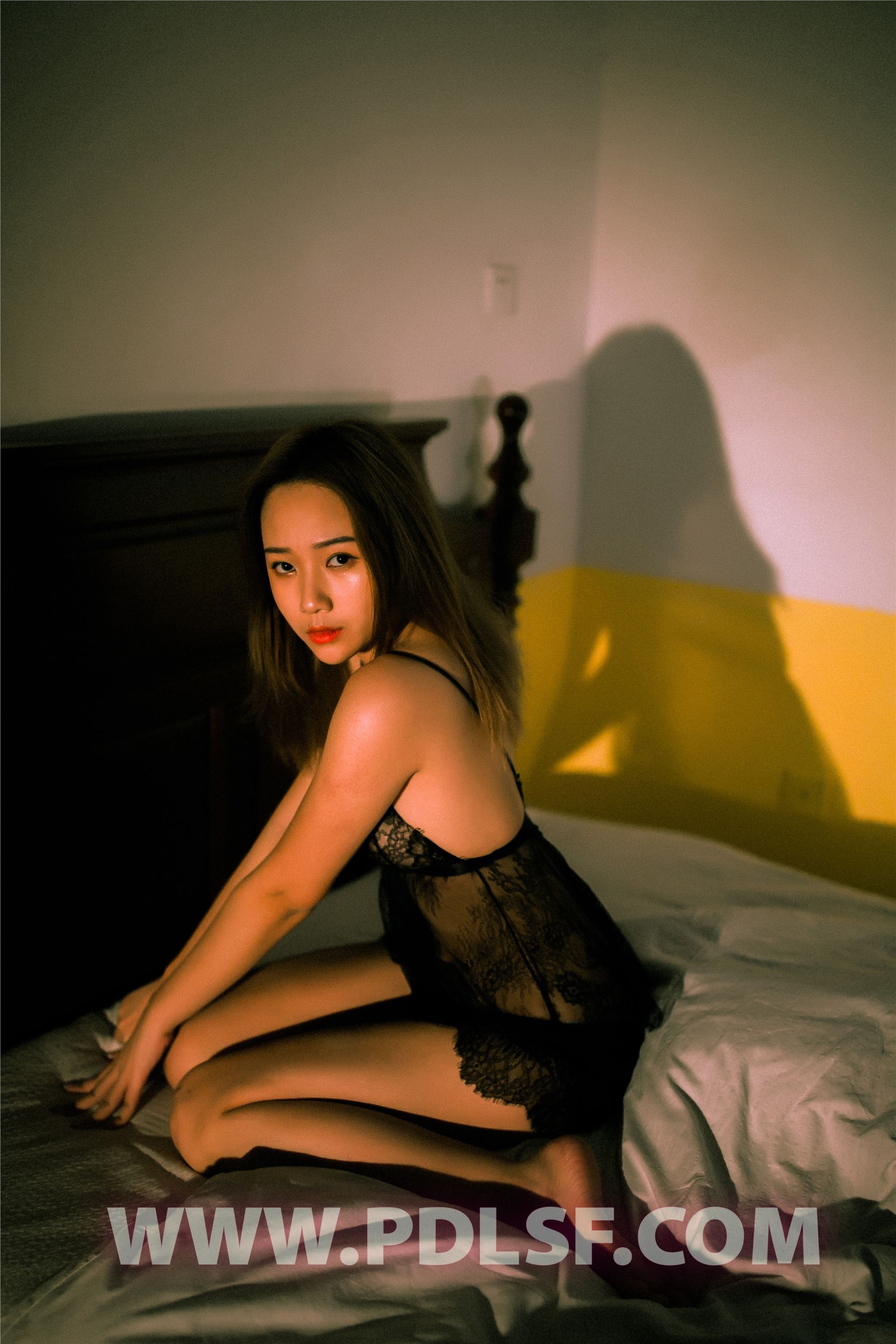 PDL潘多拉 2020.04.15 专辑No.287